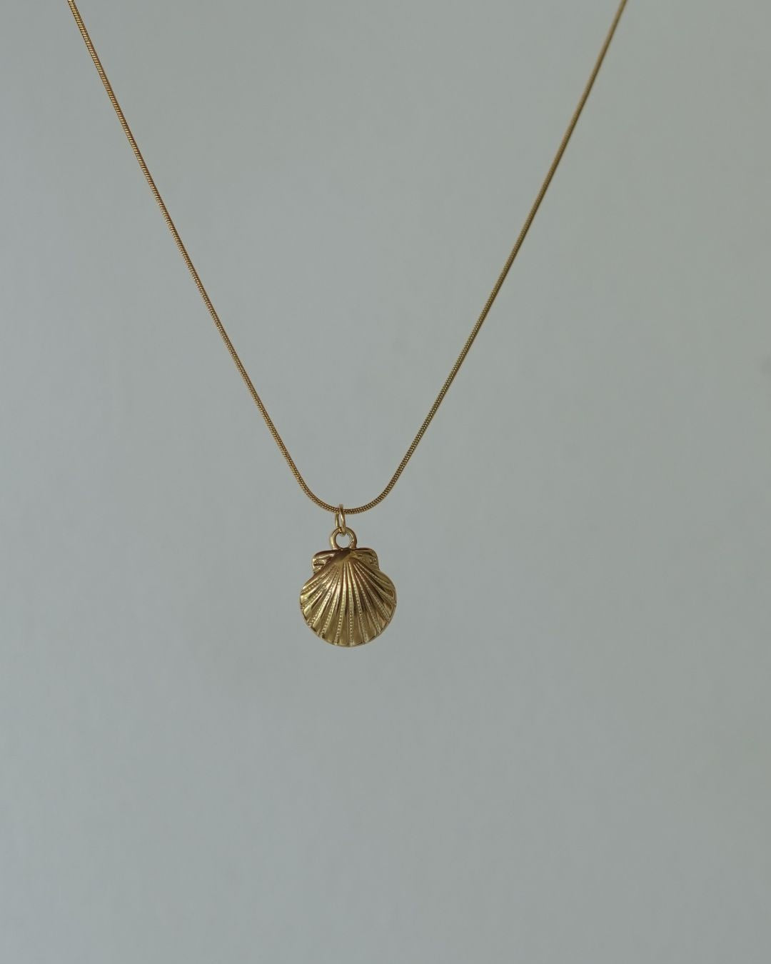 Shell Pendant Chain